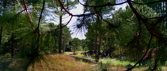 Atando cabos - Trailer