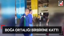 Alışveriş merkezine giren boğa birbirine kattı