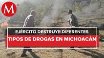 Incineran 833 kilógramos de marihuana en Michoacán