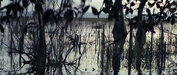 The Curse of La Patasola Bande-annonce (EN)
