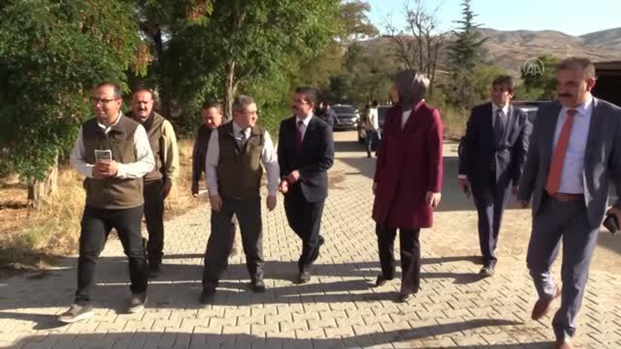 AFYONKARAHİSAR - Vali Yiğitbaşı, tedavisi tamamlanan kızıl şahinleri doğaya saldı