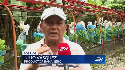 Televistazo 13h00 07-04-2022