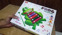 Unboxing and Review of Prime Frog Xylophone 2 in 1 Musical Toy and Pull Along Toy for Kids