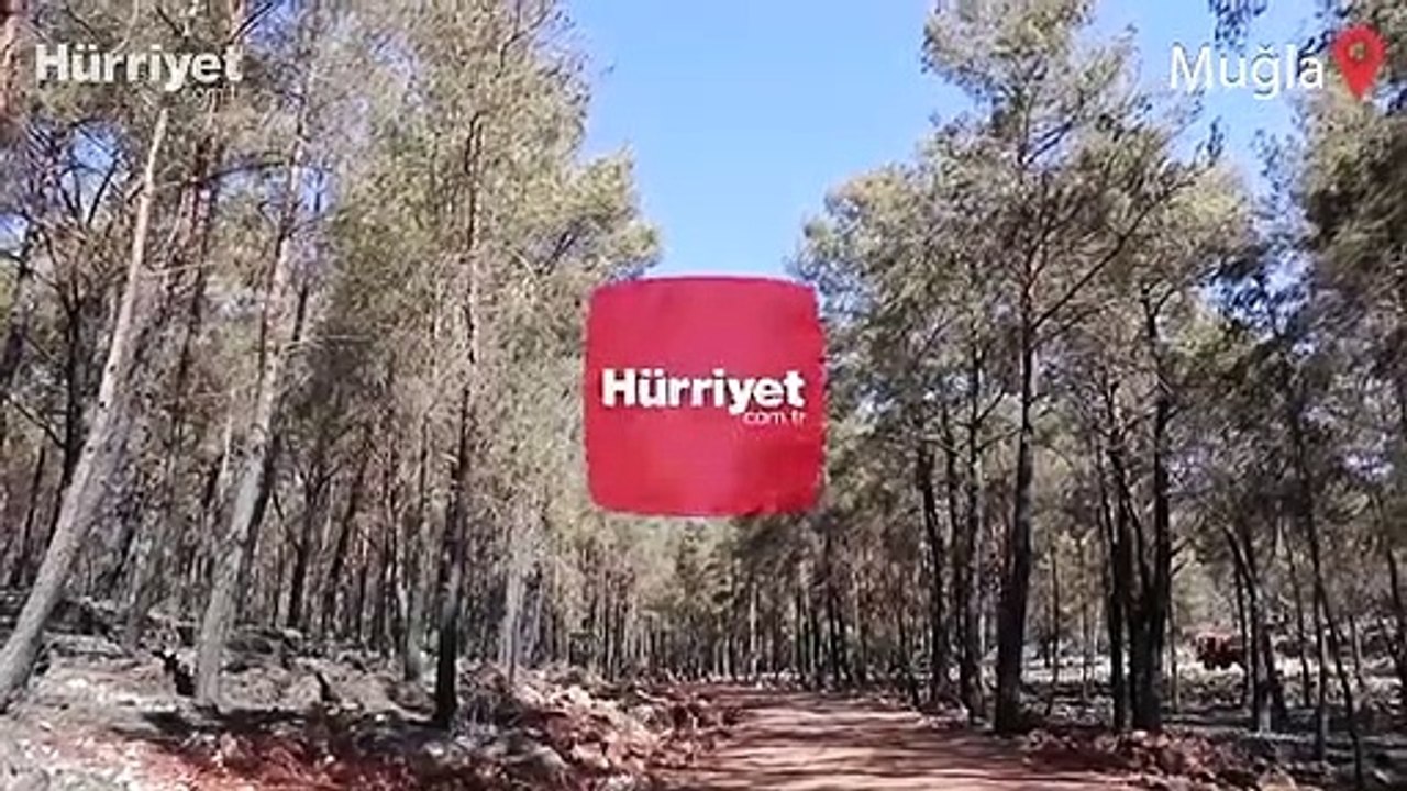 Muğla'nın Fethiye ilçesindeki orman yangını kontrol altına alındı