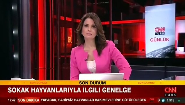 Sokak hayvanlarıyla ilgili genelge