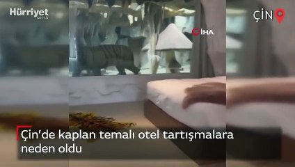 Çin’de kaplan temalı otel tartışmalara neden oldu
