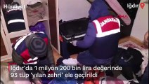 Iğdır'da 1 milyon 200 bin lira değerinde 93 tüp 'yılan zehri' ele geçirildi