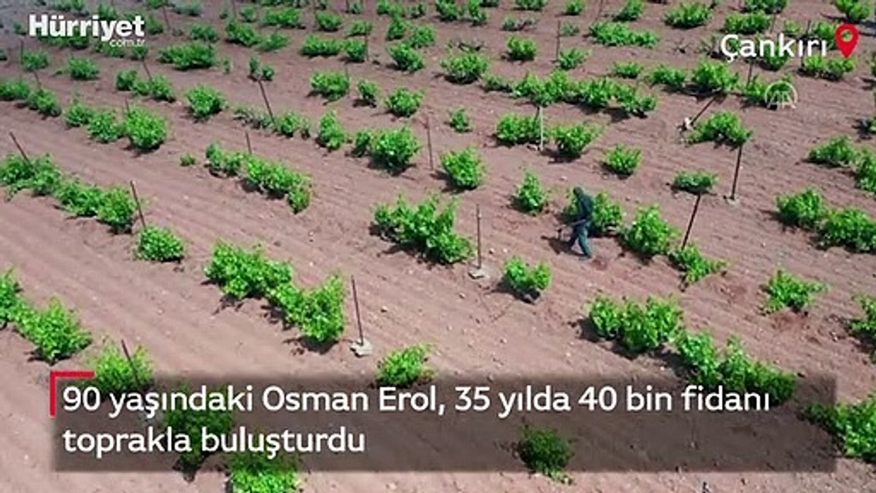 90 yaşındaki Osman Erol, 35 yılda 40 bin fidanı...