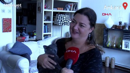 4 kulaklı 'Midas', sokak hayvanlarına umut olacak