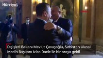 Bakan Çavuşoğlu, Sırbistan Ulusal Meclis Başkanı Dacic ile görüştü