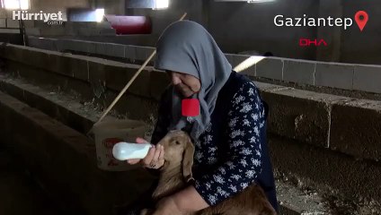 'Kadınsın yapamazsın' dediler, kendi çiftliğini kurdu