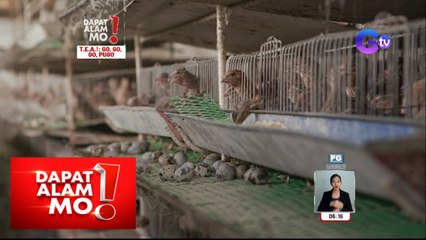 Pugo farm sa Bulacan, silipin! | Dapat Alam Mo!