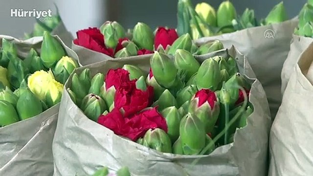 Türkiye'den 83 ülkeye 125 milyon dolarlık çiçek ihracatı