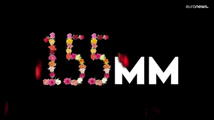 El Ejército ucraniano pide a París que envíe más cañones César como un gesto de amor