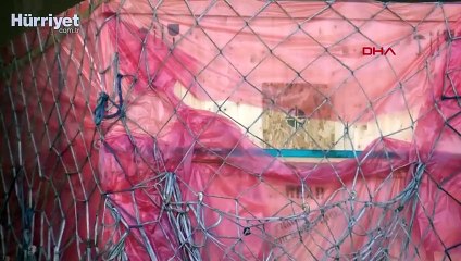 Türkiye'nin milli otomobili TOGG fuar için ABDye götürülüyor