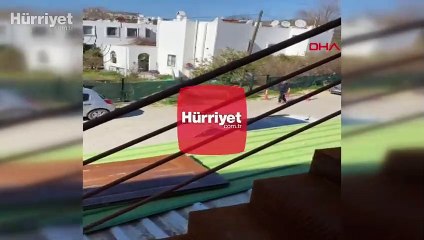 Tuğçe'yi taciz eden kişi bu kez komşusunu bıçakladı: O anlar kamerada