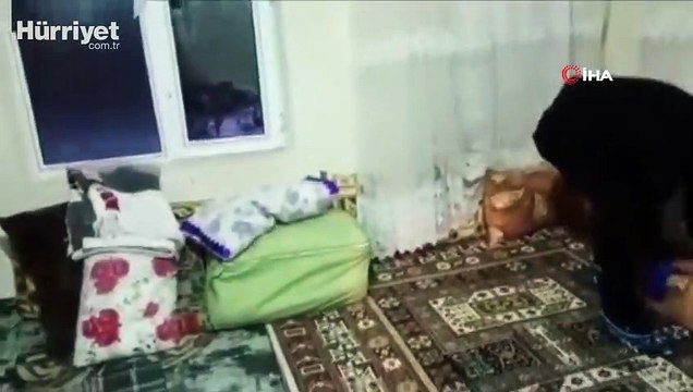 Bitlis merkezli terör operasyonunda 8 kişi gözaltına alındı