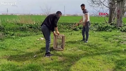 Site bahçesinde yakalanan yılan doğaya salındı