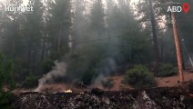 ABD'nin Kaliforniya eyaletinde orman yangınına müdahale devam ediyor