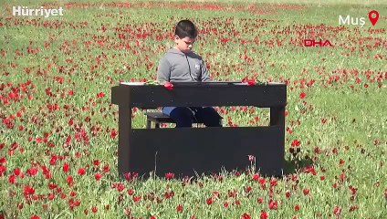 Muş ovası'nda piyano resitali
