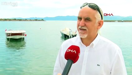Deniz salyası Karadeniz'de