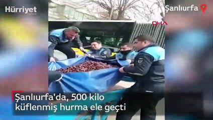 Şanlıurfa'da, 500 kilo küflenmiş hurma ele geçti