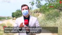 İstanbul'da Batı Nil virüsü endişesi