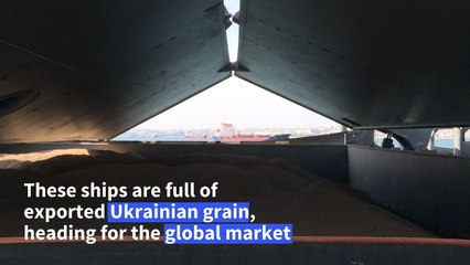 Ukrainian grain ships await inspection in Istanbul
