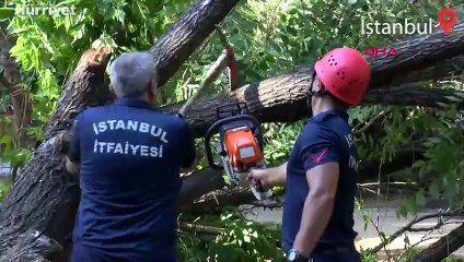 Bakırköy'de çocuklar oyun oynarken parktaki ağaç devrildi
