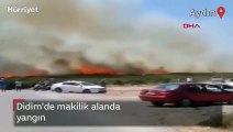 Didim'de makilik alanda  yangın