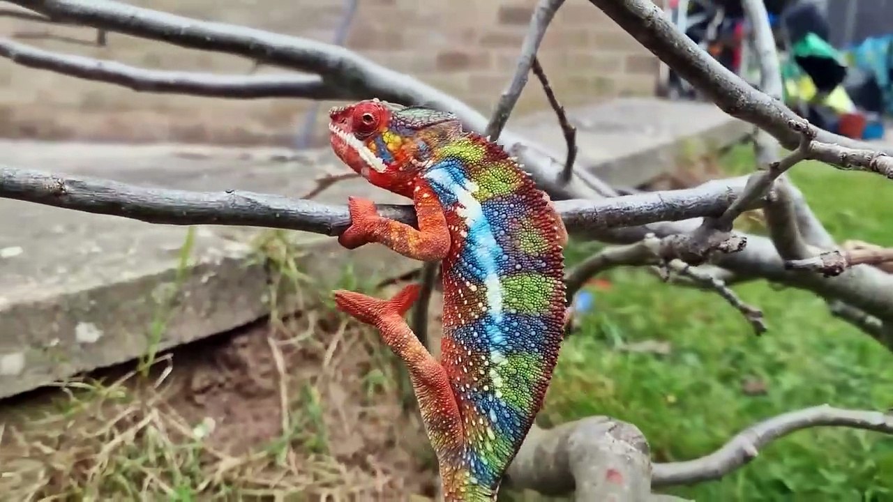 100 Outrageous Animal Moments Caught On Camera