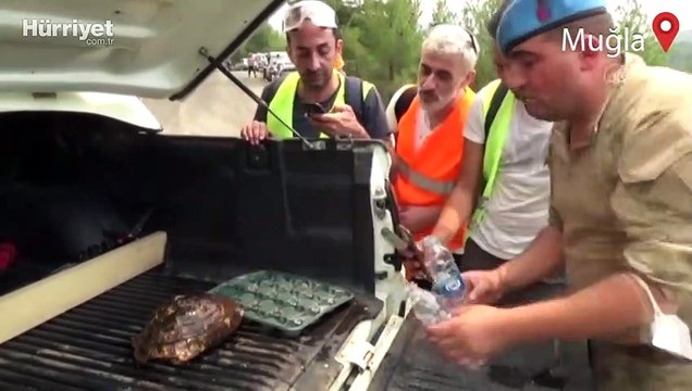 Muğla'da, Köyceğiz ilçesindeki orman yangını nedeniyle 5 mahalle tedbir amaçlı boşaltıldı