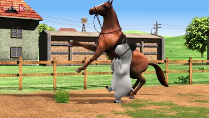 Bernard Bear  Dressage AND MORE  Cartoons for Children  Full Episodes