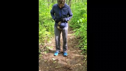 25 Unbelievable Animal Moments Caught On Camera #2 ️