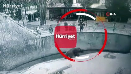 Özbekistan’da anne 3 yaşındaki kızını ayının yanına attı