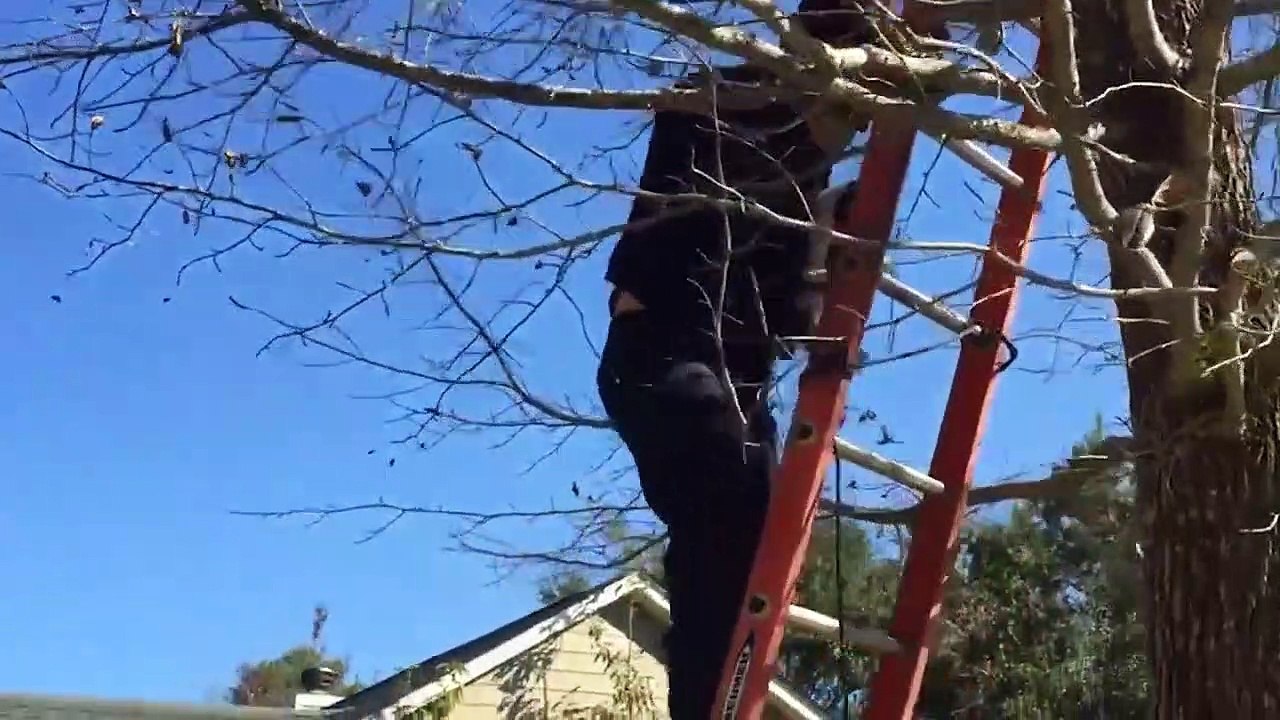 Hero Police and Firefighters Saving Animals Tha...