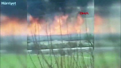 Gölünyazı Kuş Cenneti'nde yangın