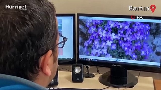 Yeni bir endemik bitki türü keşfedildi