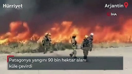 Patagonya yangını 90 bin hektar alanı küle çevirdi