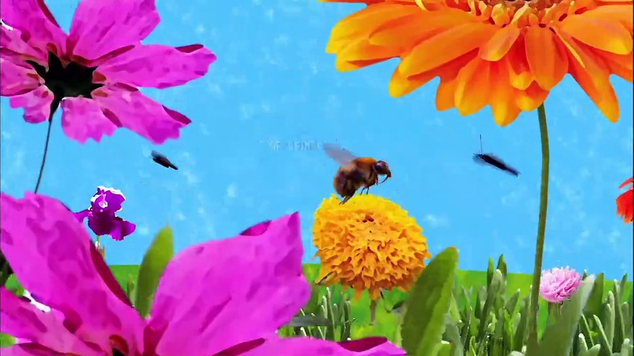 The Secret Life of the American Teenager Staffel 4 Folge 23 HD Deutsch