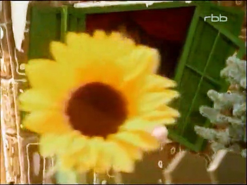 Schloss Einstein Staffel 5 Folge 30 HD Deutsch