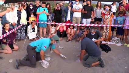 Yangın dumanı gökyüzünü kapladı, yavru carettalar yönlerini bulamadı