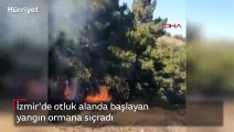 İzmir'de otluk alanda başlayan yangın ormana sıçradı