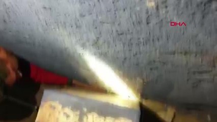 DUVAR İLE DOĞALGAZ KUTUSU ARASINDA SIKIŞAN YAVRU KEDİ KURTARILDI