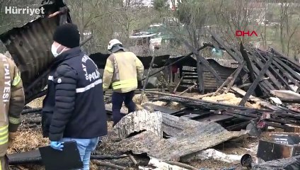 Arnavutköy'de ahırda çıkan yangında 7 koyun öldü