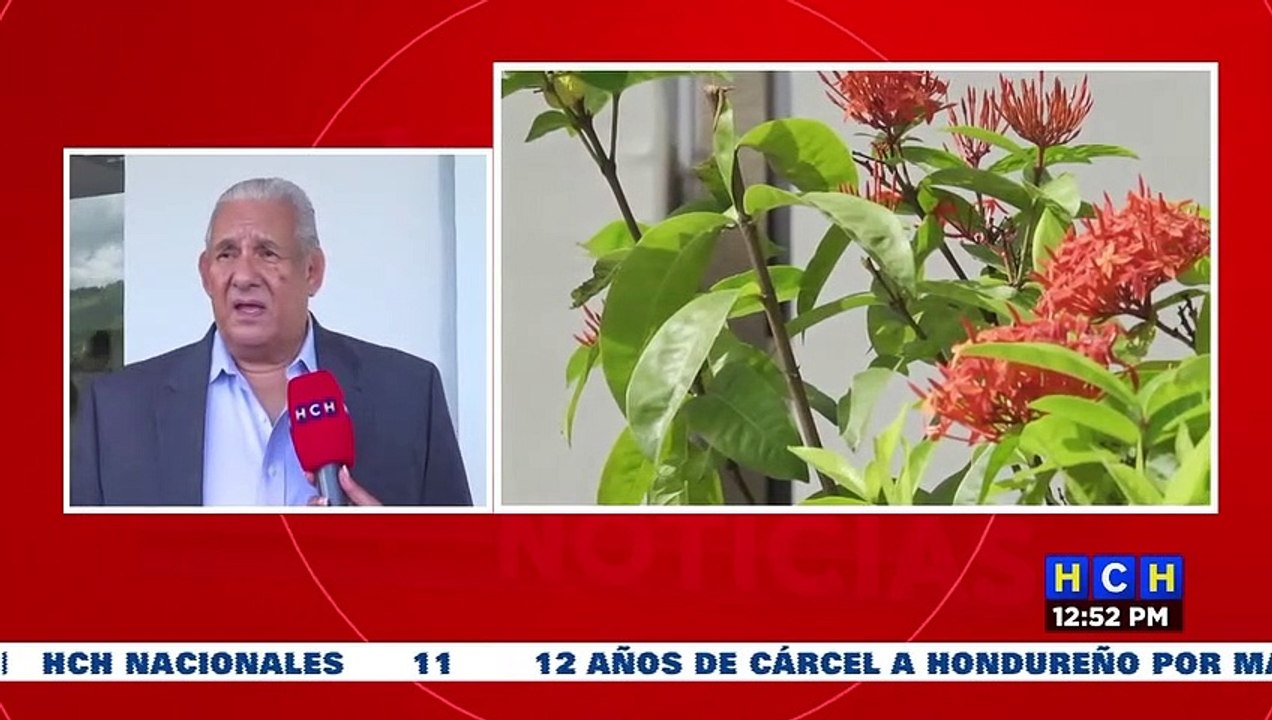 “Convocatoria oficial para postulantes a magistrados se realizará en las próximas horas”: Olban Valladares