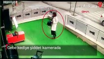 Ankara'da gebe kediye şiddet kamerada