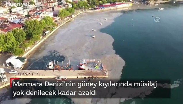 Marmara Denizi'nin güney kıyılarında müsilaj yok denilecek kadar azaldı