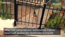 Milas'taki yangında evin balkonunda mahsur kalan kedi gazeteciler tarafından kurtarıldı