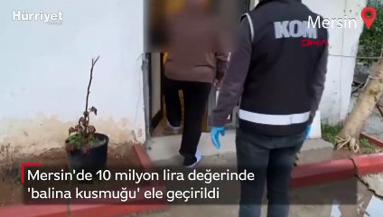 Mersin'de 10 milyon lira değerinde 'balina kusmuğu' ele geçirildi